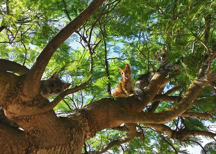 דירה 4 - By Interhome *